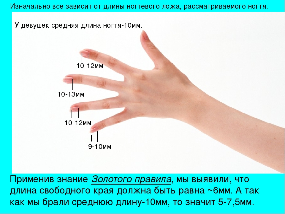 Сколько лет пальцами. Как определить длину ногтей. Как считать длину ногтей. Измеритель размера ногтей. Длины маникюра с размерами.